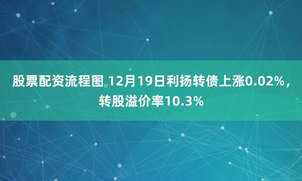 股票配资流程图 12月19日利扬转债上涨0.02%，转股溢价率10.3%