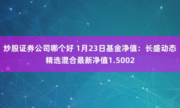 炒股证券公司哪个好 1月23日基金净值：长盛动态精选混合最新净值1.5002