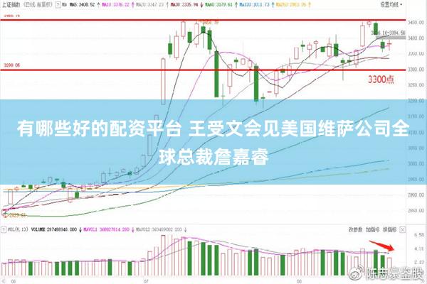 有哪些好的配资平台 王受文会见美国维萨公司全球总裁詹嘉睿