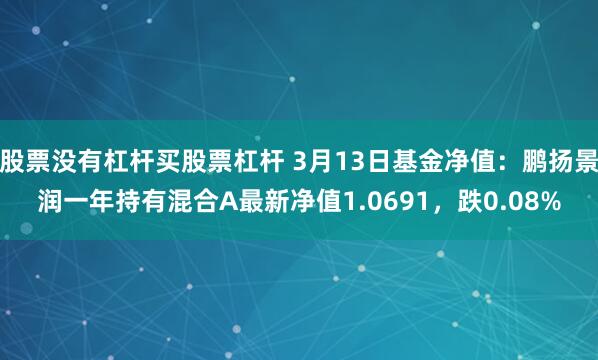 股票没有杠杆买股票杠杆 3月13日基金净值：鹏扬景润一年持有混合A最新净值1.0691，跌0.08%