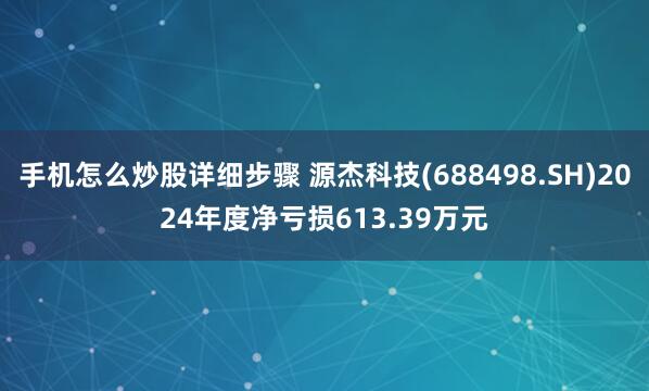手机怎么炒股详细步骤 源杰科技(688498.SH)2024年度净亏损613.39万元
